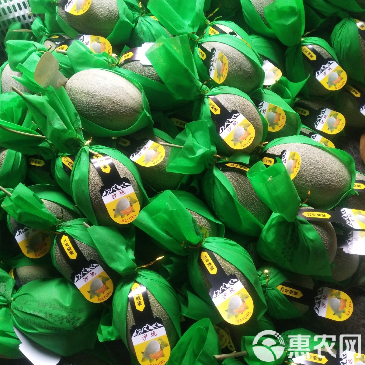 购物小蜜