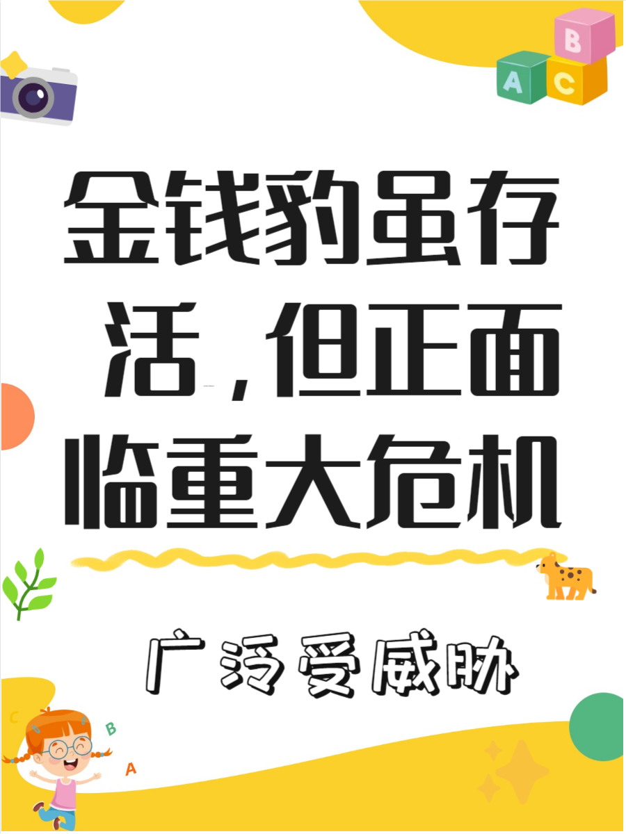 款项豹团购