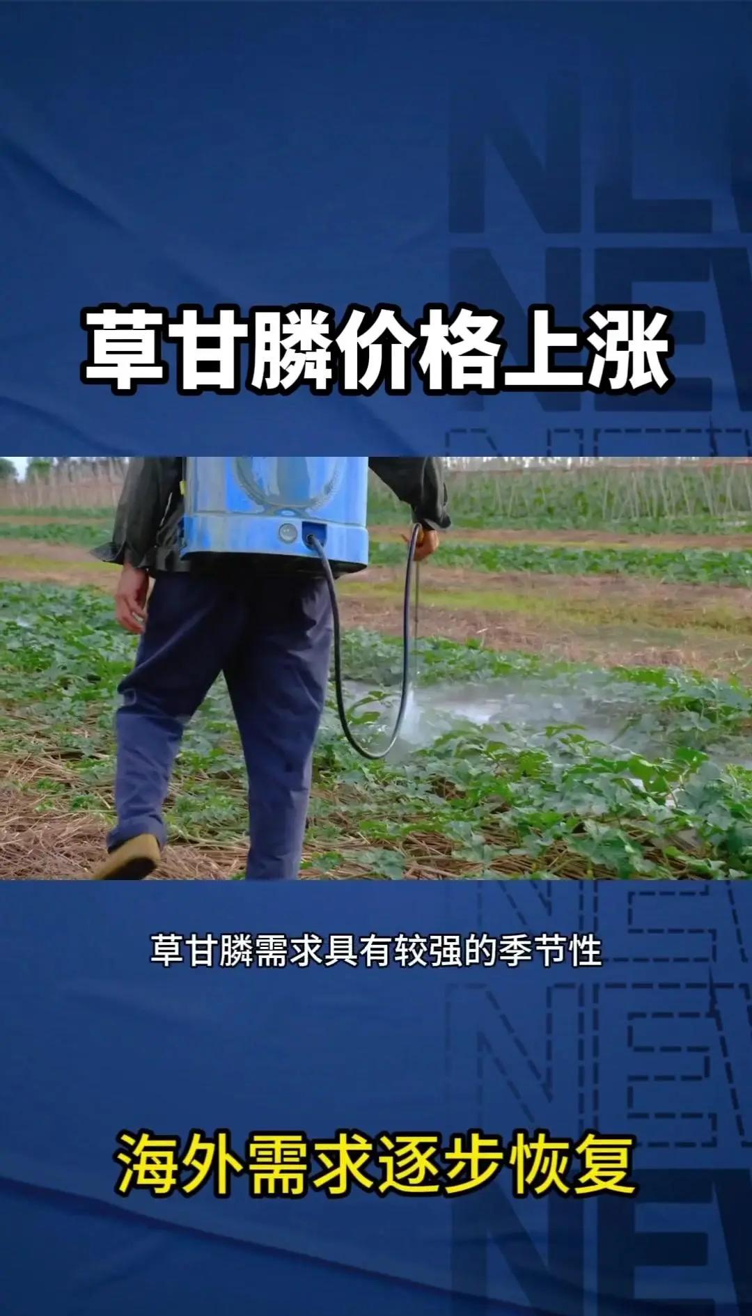 草甘膦观点股