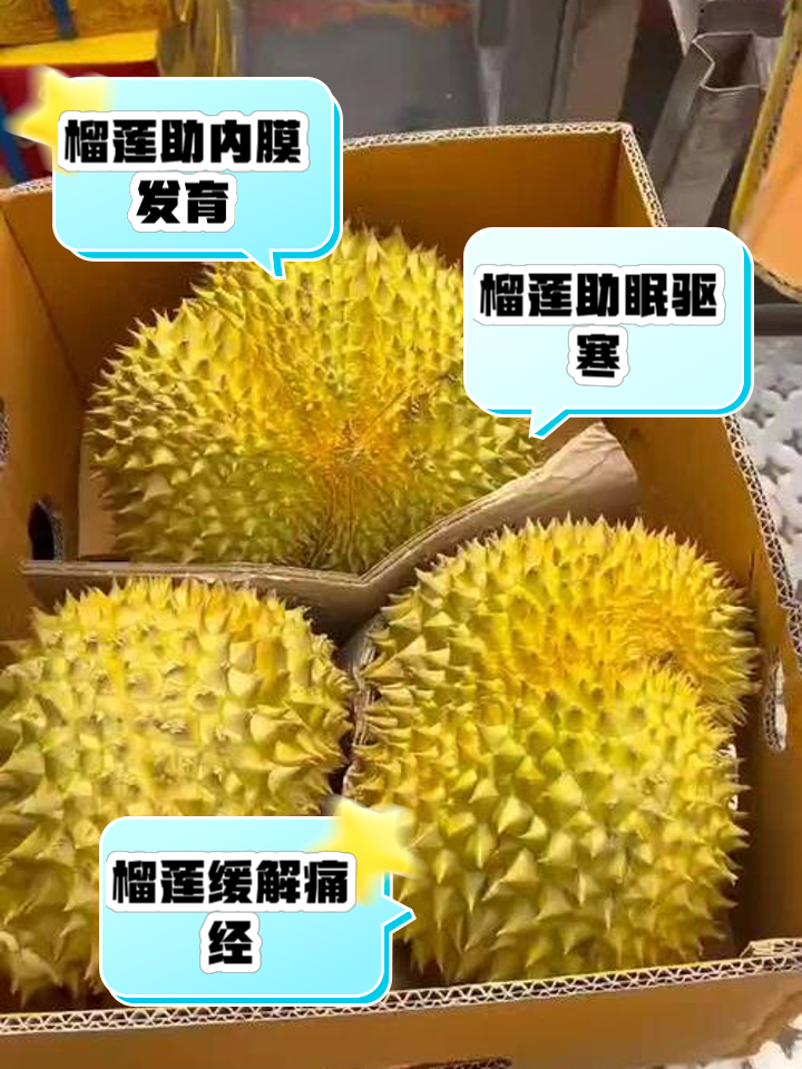 榴莲对子宫和卵巢好吗