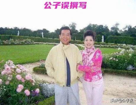 梦鸽是谁