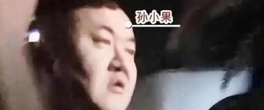 孙小果身后的大佬