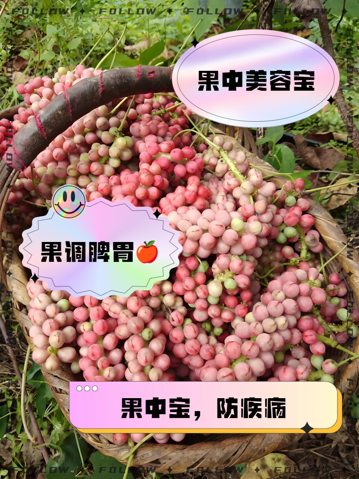 随便果作用