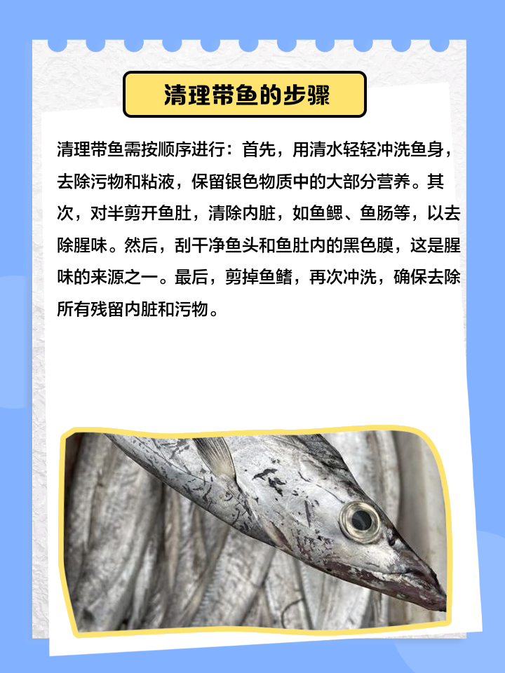 带鱼身上的银红色的工具用刮失吗