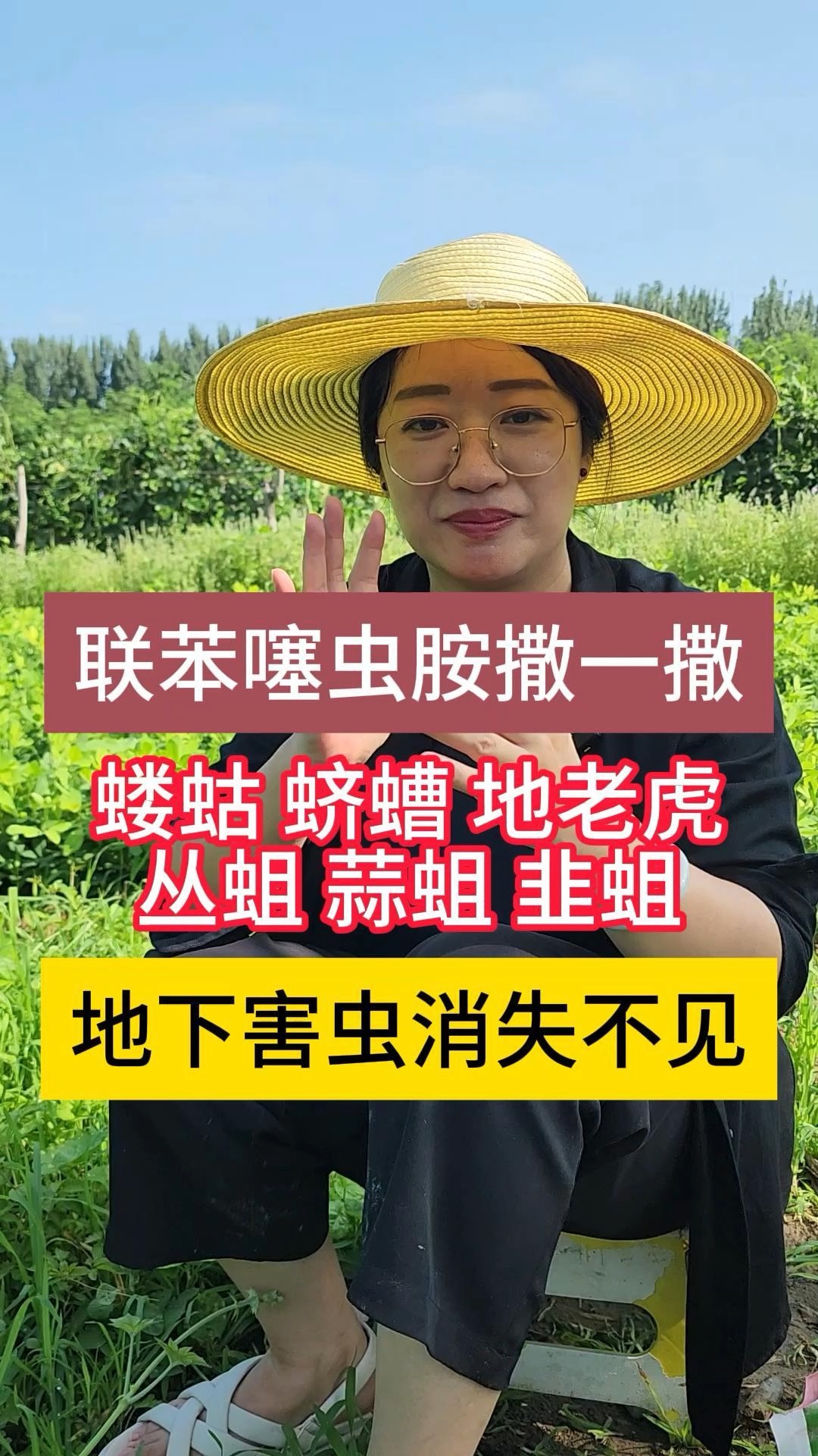 公开害虫