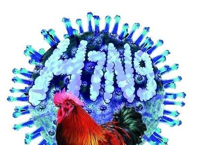 商丘h7n9