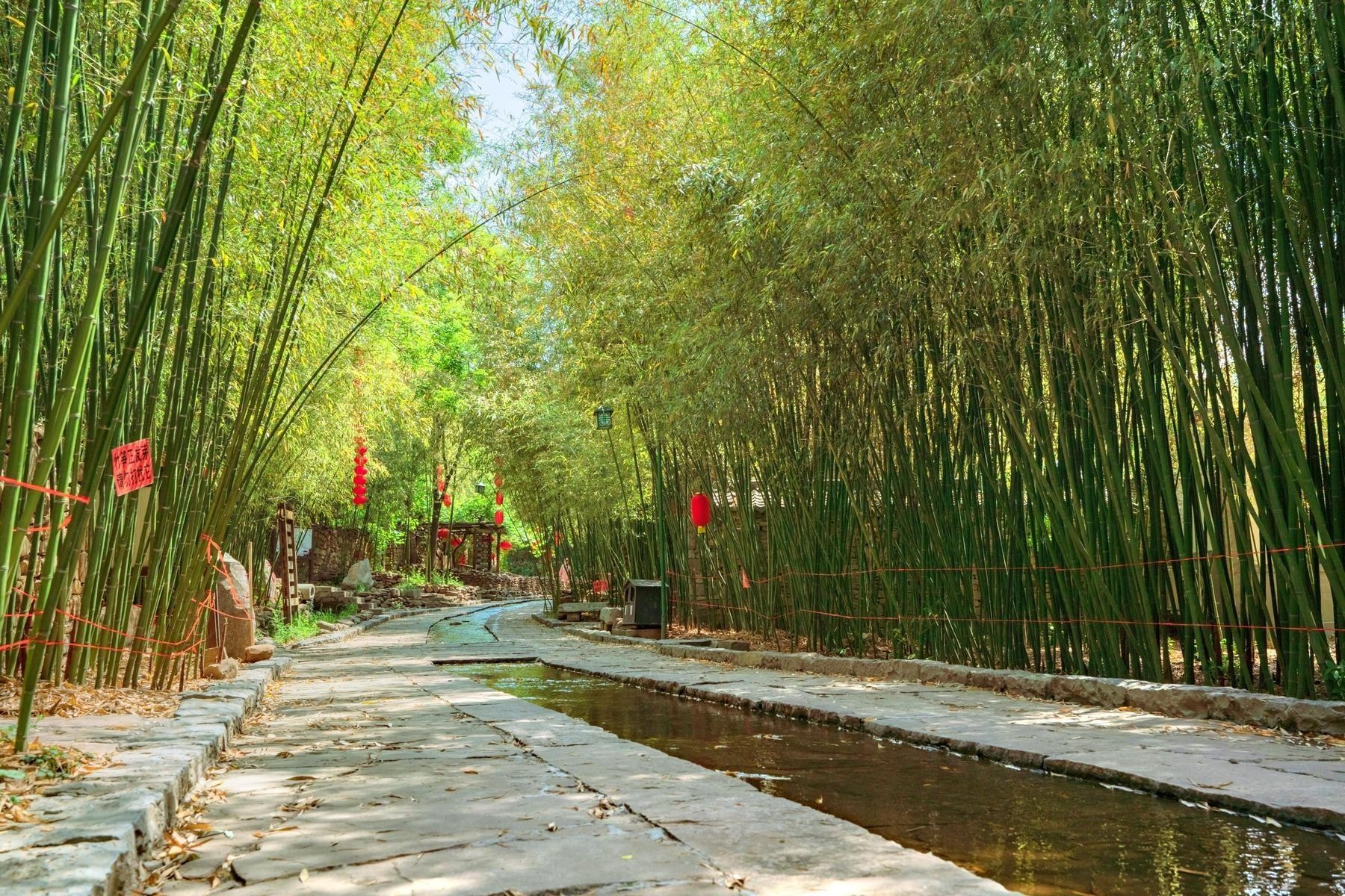 临沂竹泉村旅游度假区