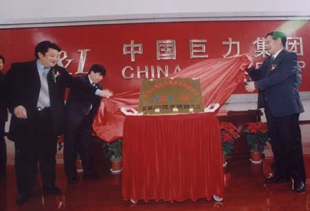 河北巨力集团有多少亿