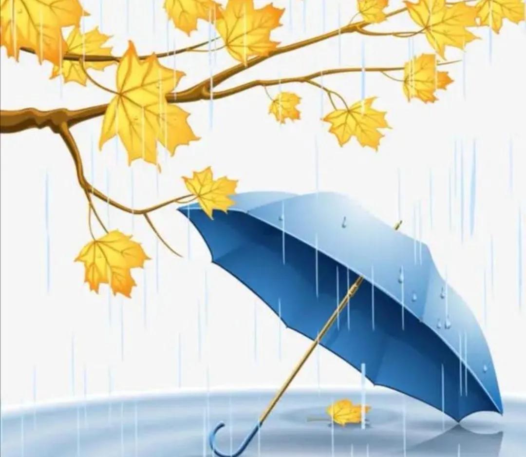 伞下一肩雨