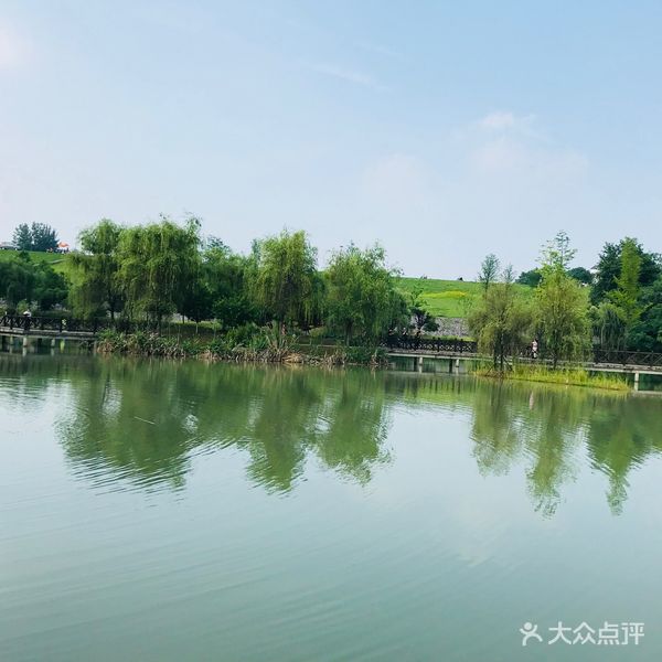 南京江宁谷里薰衣草