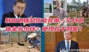 段金寅