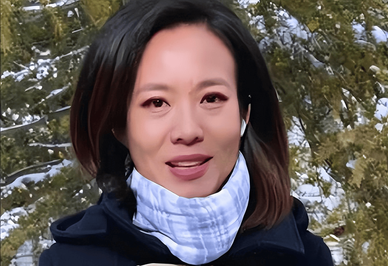 宝晓峰团体简历