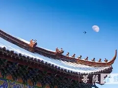 张霁文