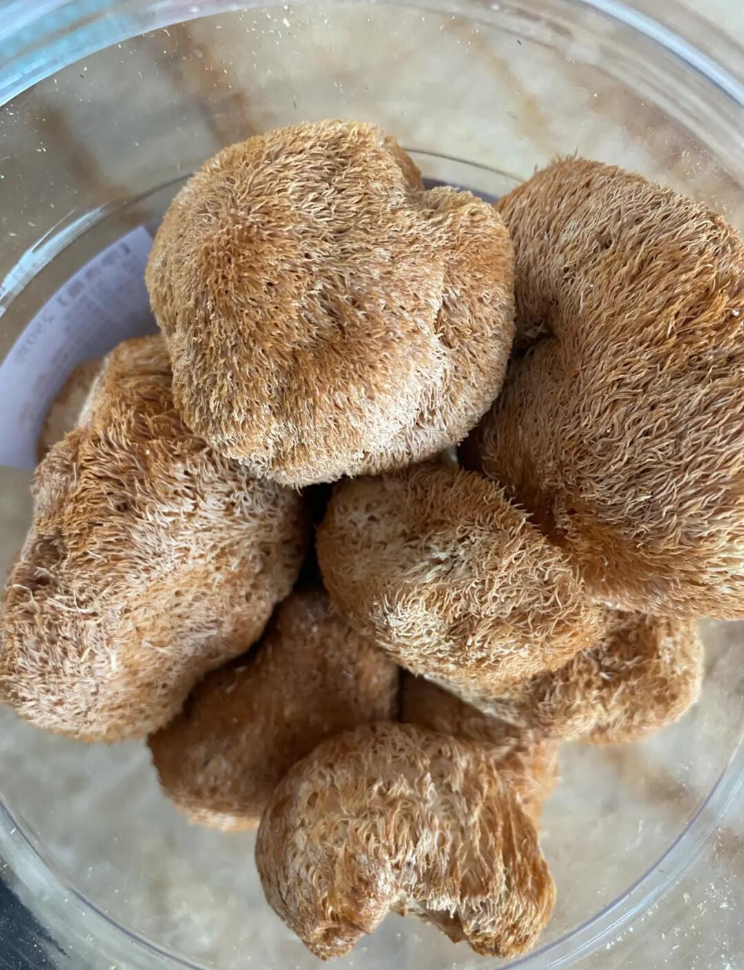 孕妇能吃猴头菇