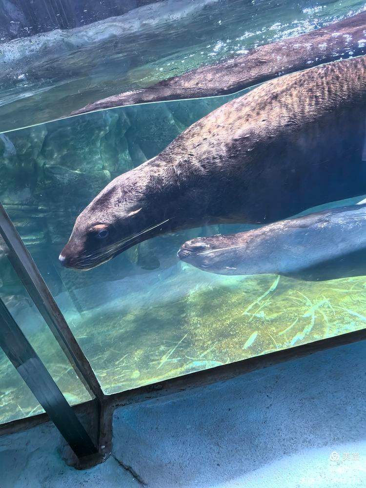 深圳小梅沙海洋世界