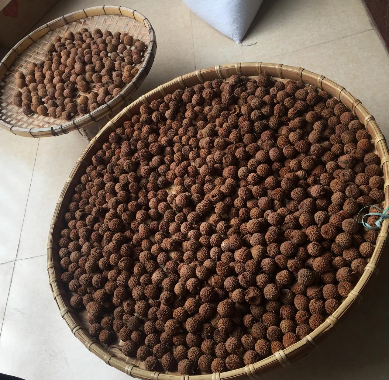荔枝核的成效与作用