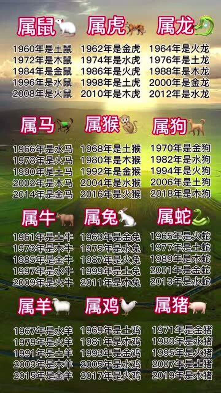 一目十行是什么生肖