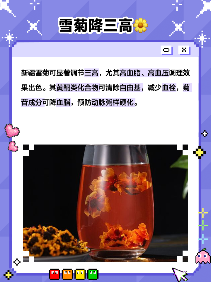 新疆雪菊