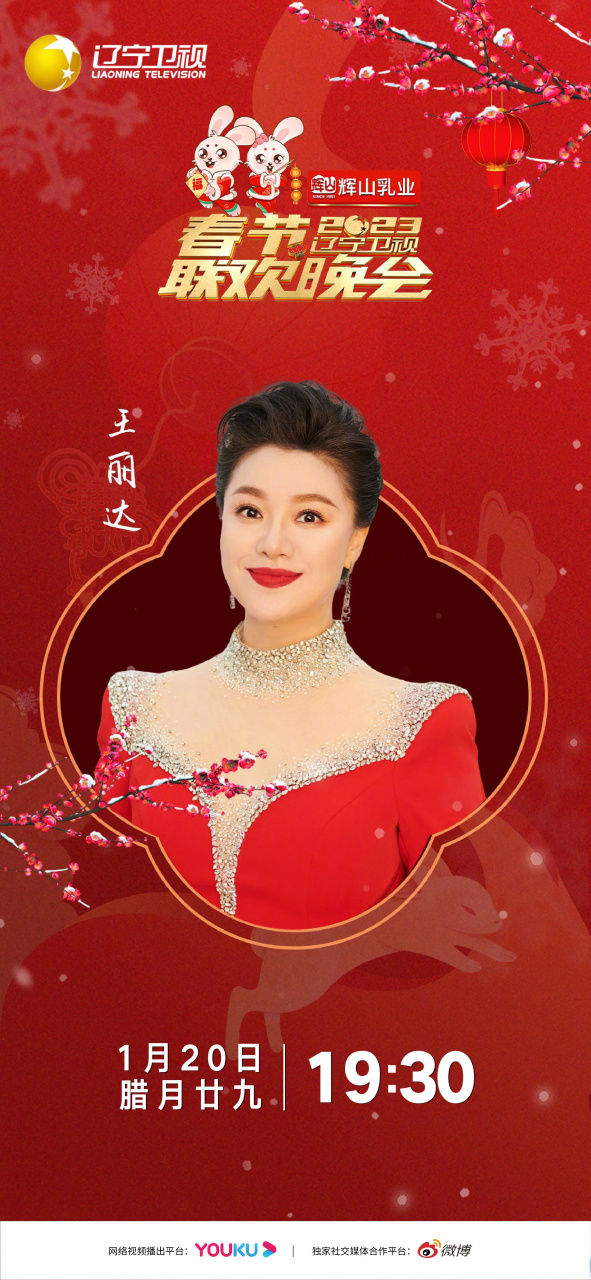 王丽达简历