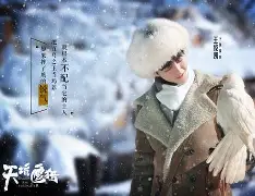 鹰王猎情