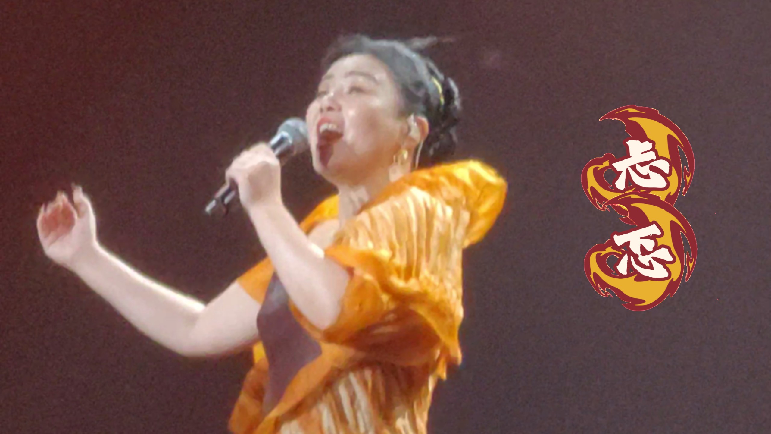 龚琳娜忐忑歌词