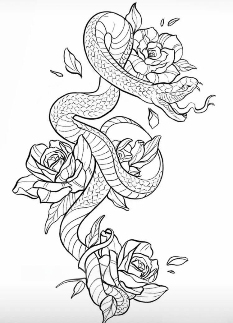 蛇花