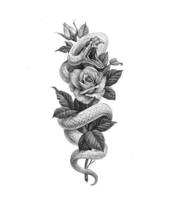 蛇花