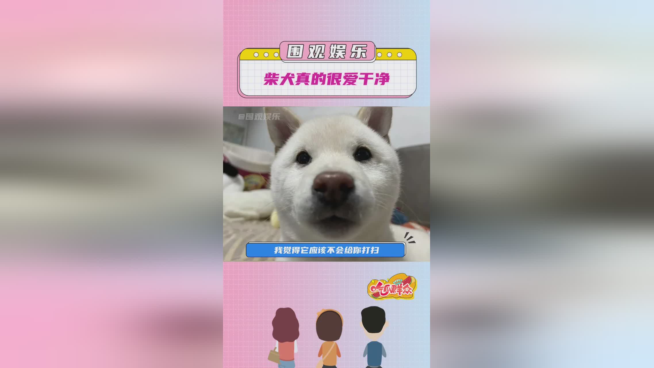 吕知樾张津瑜