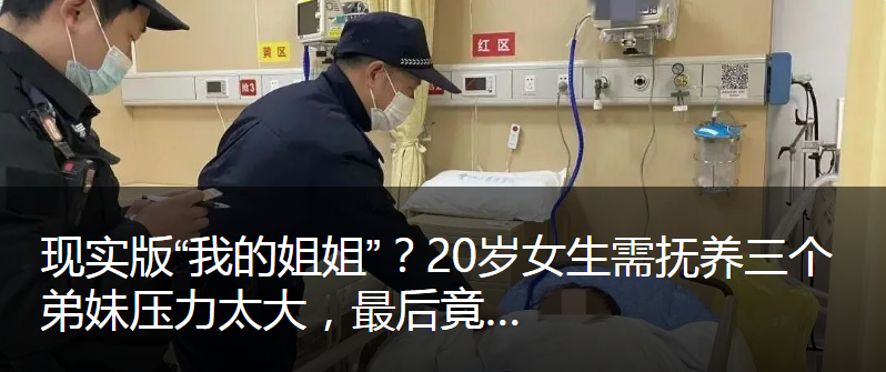 三亚海胆蒸蛋事件当事人报歉