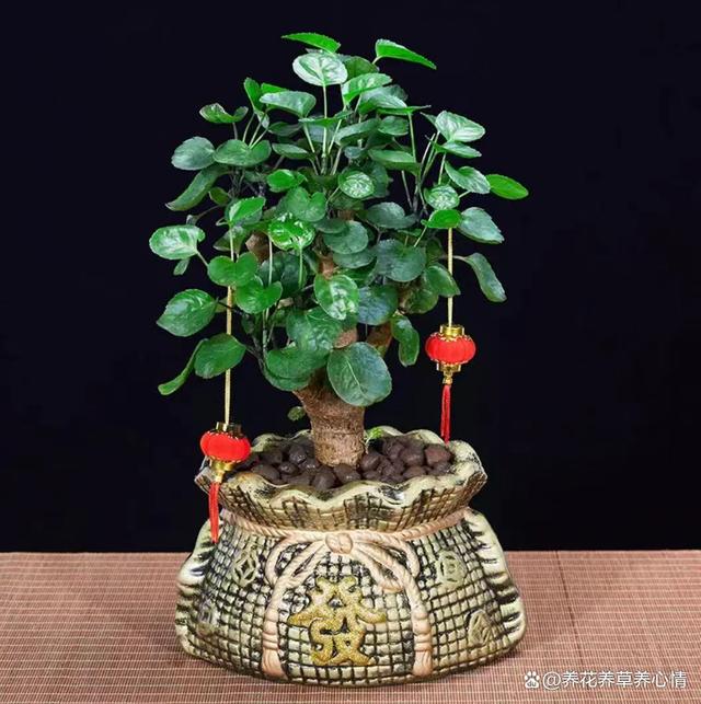 招财进宝花