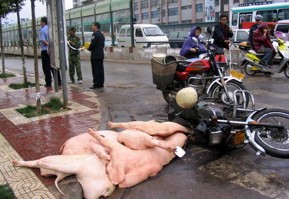 2009年江苏车祸惨案怎么判的