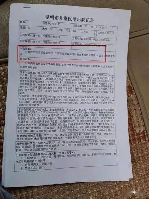 云南打人毁容事件