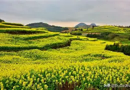 云南旅游女生毁容