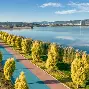 云南旅游女生毁容