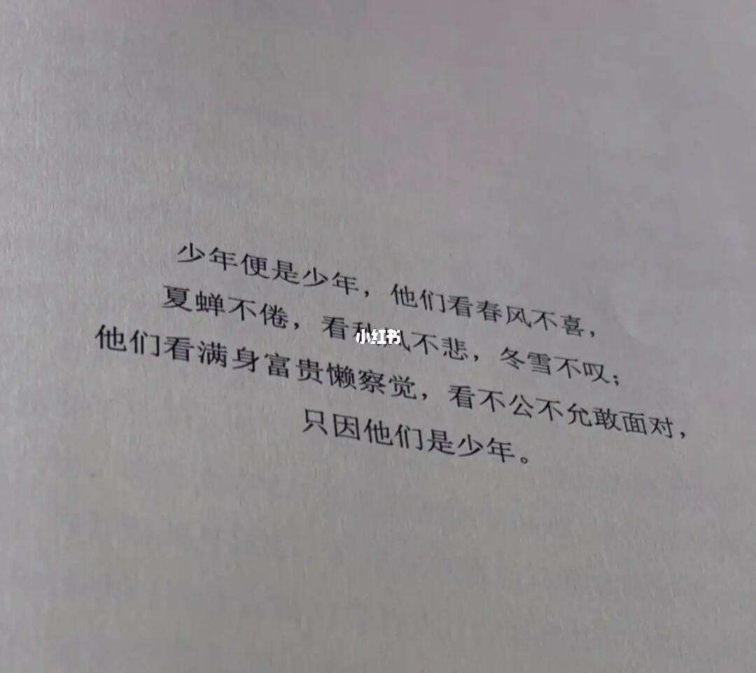 后来的我们经典语录