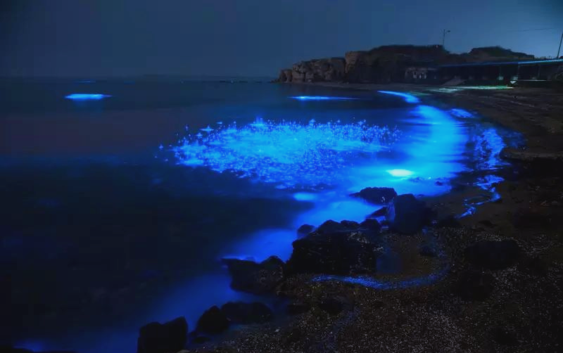 大连荧光海