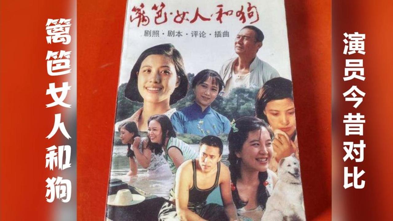 竹篱女人和狗歌词