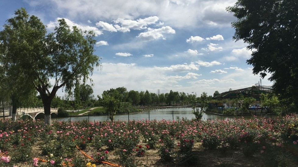 郁金香温泉花圃度假村