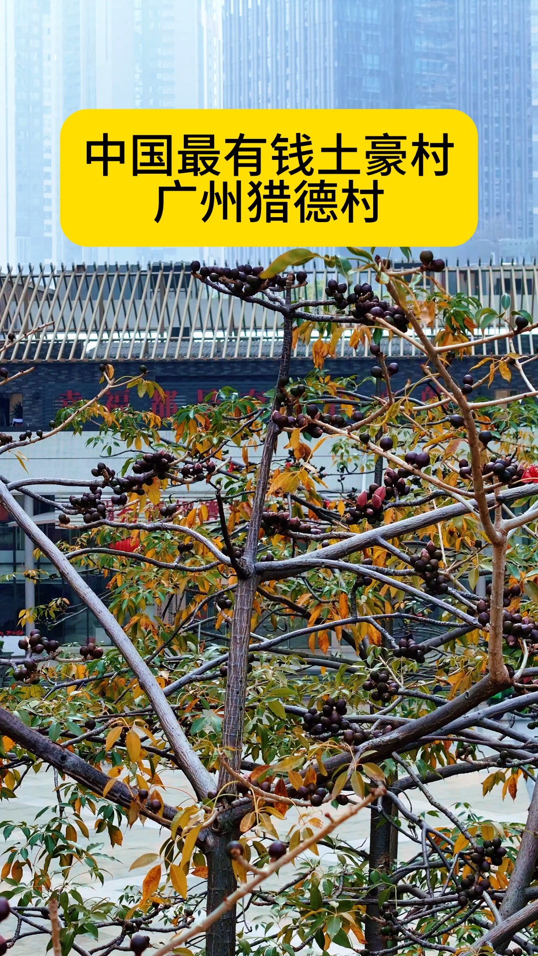 猎德村全国排名