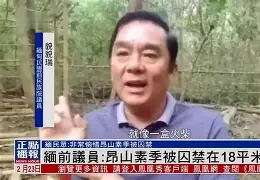 上身小山下身真山