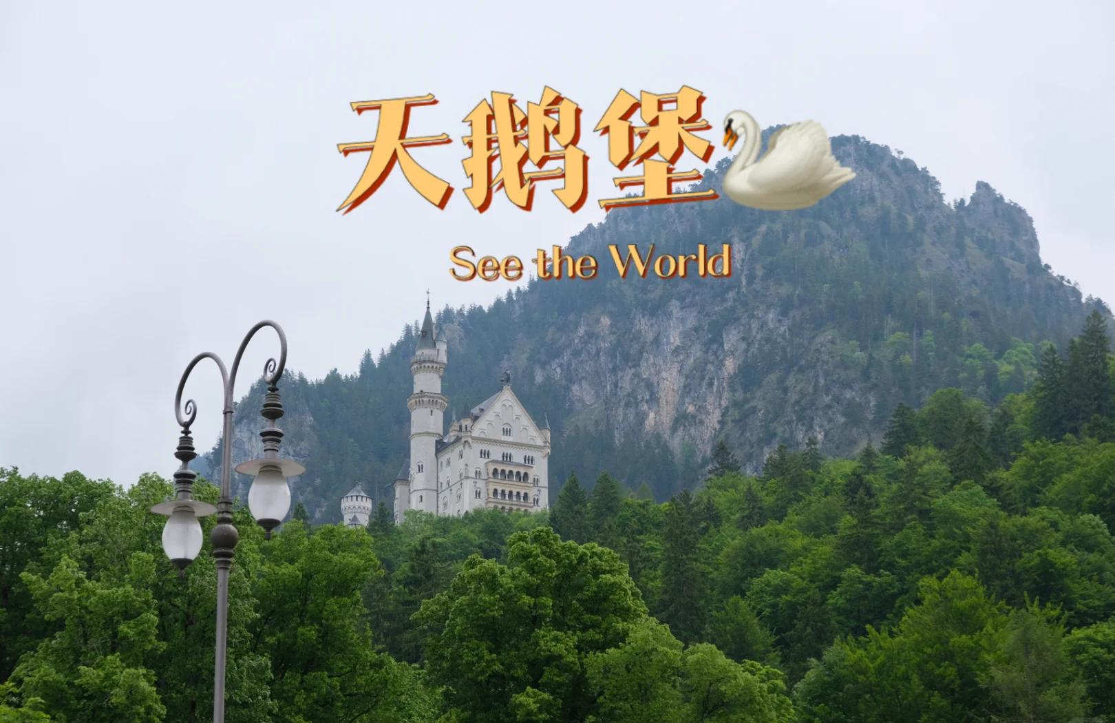 tnt黑天鹅堡