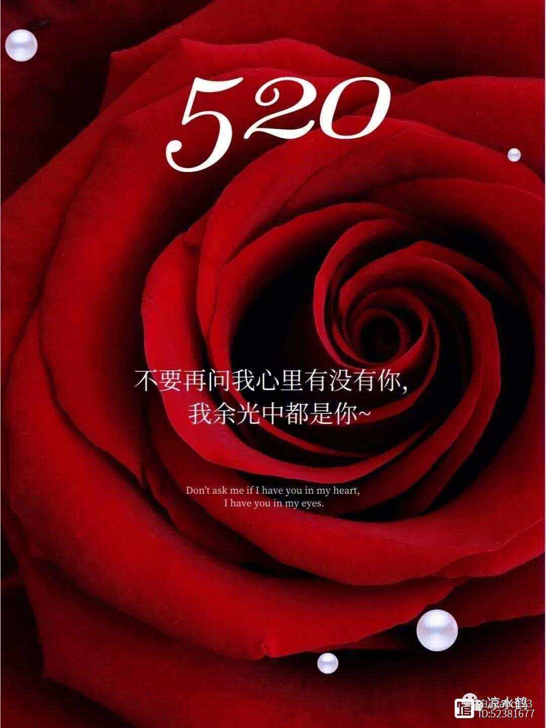 521的恋爱表示语