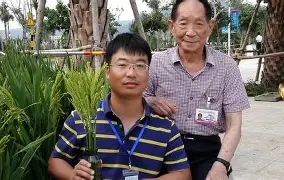 董婕袁隆平