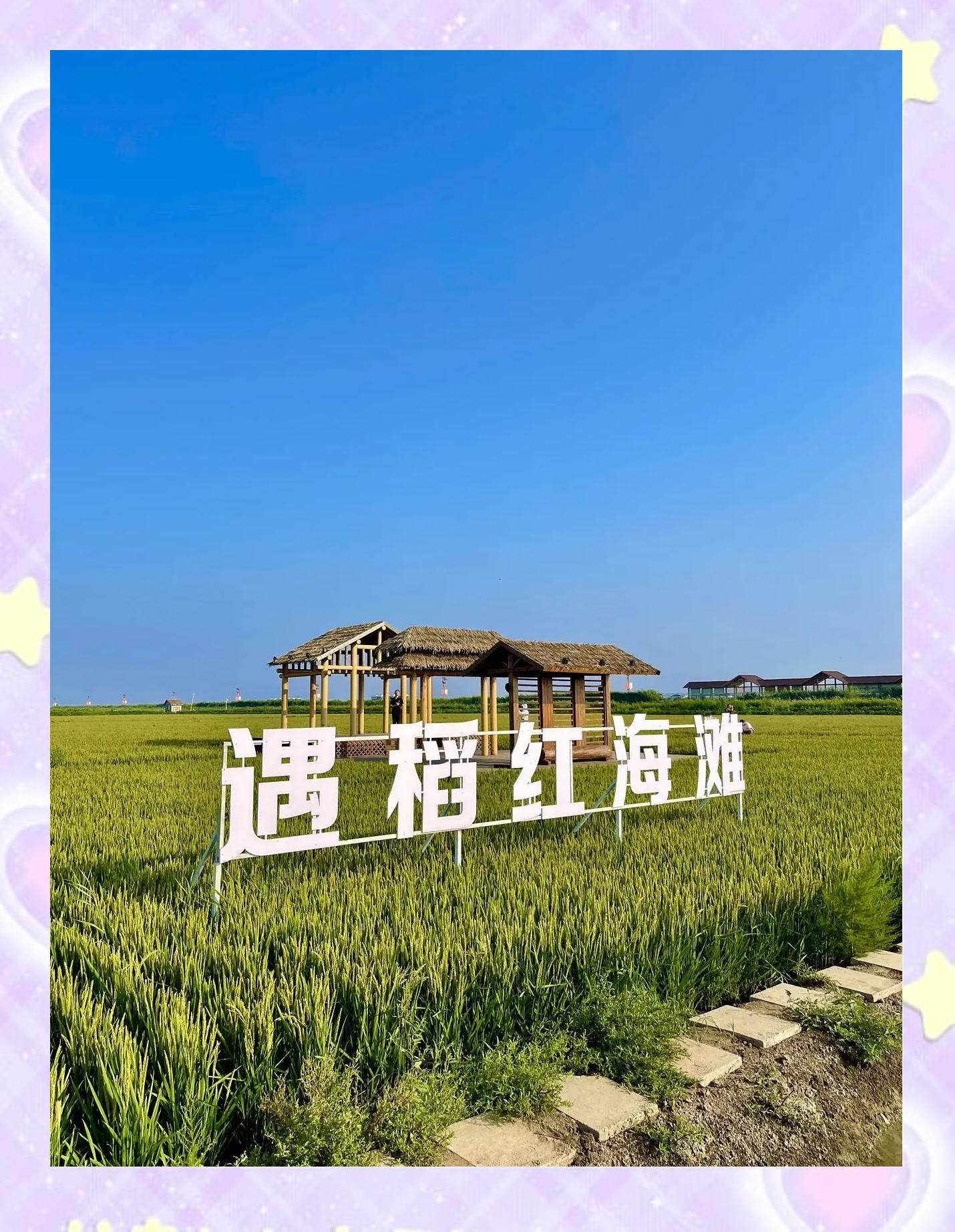 红海滩旅游攻略