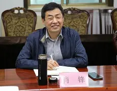 肖金锋不测身亡的复杂引见