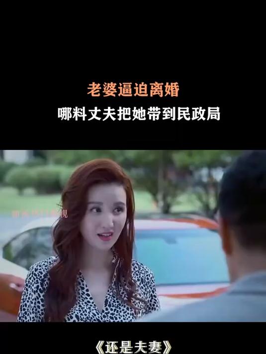 照旧伉俪演员表