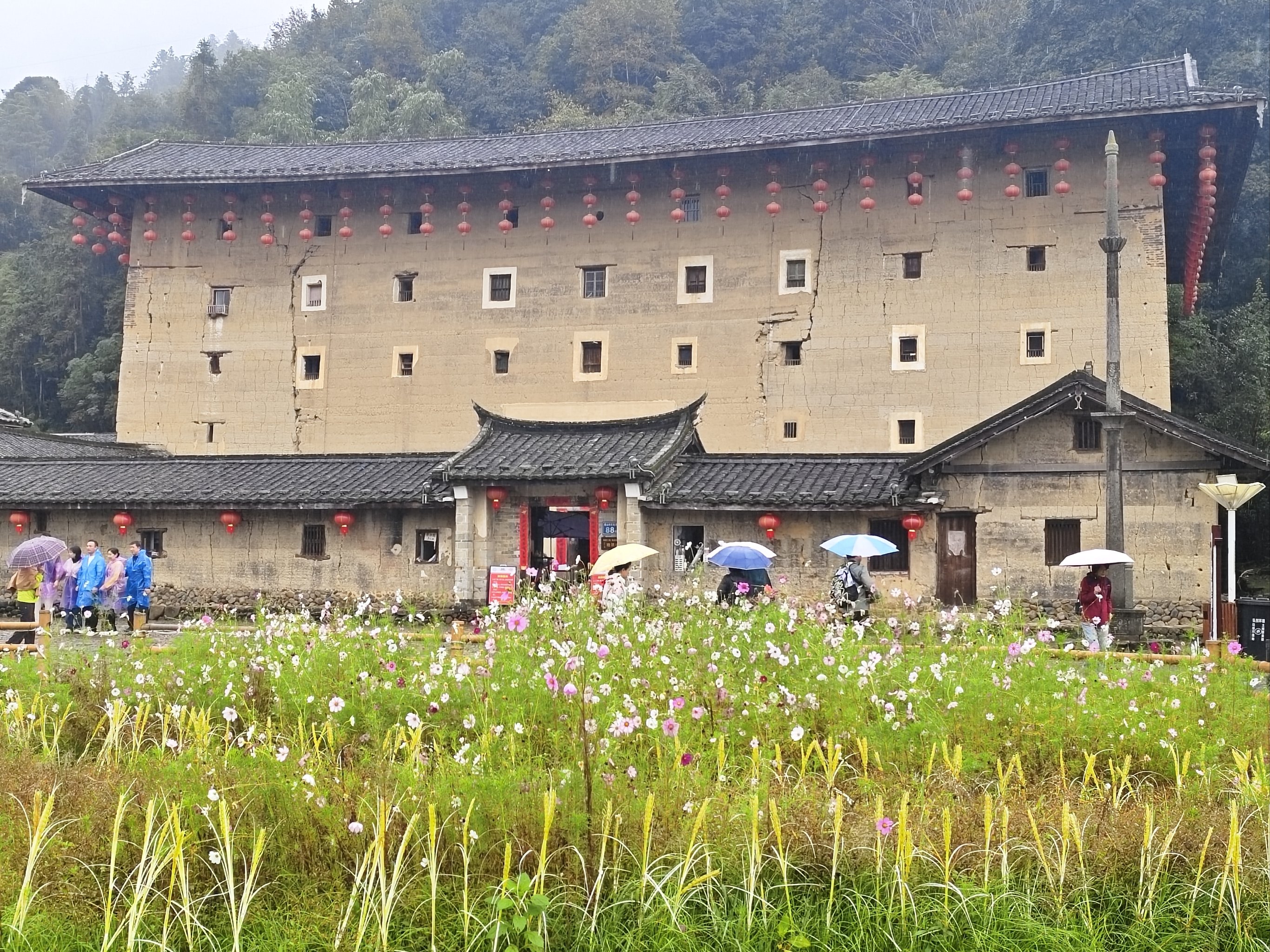 土楼在哪里