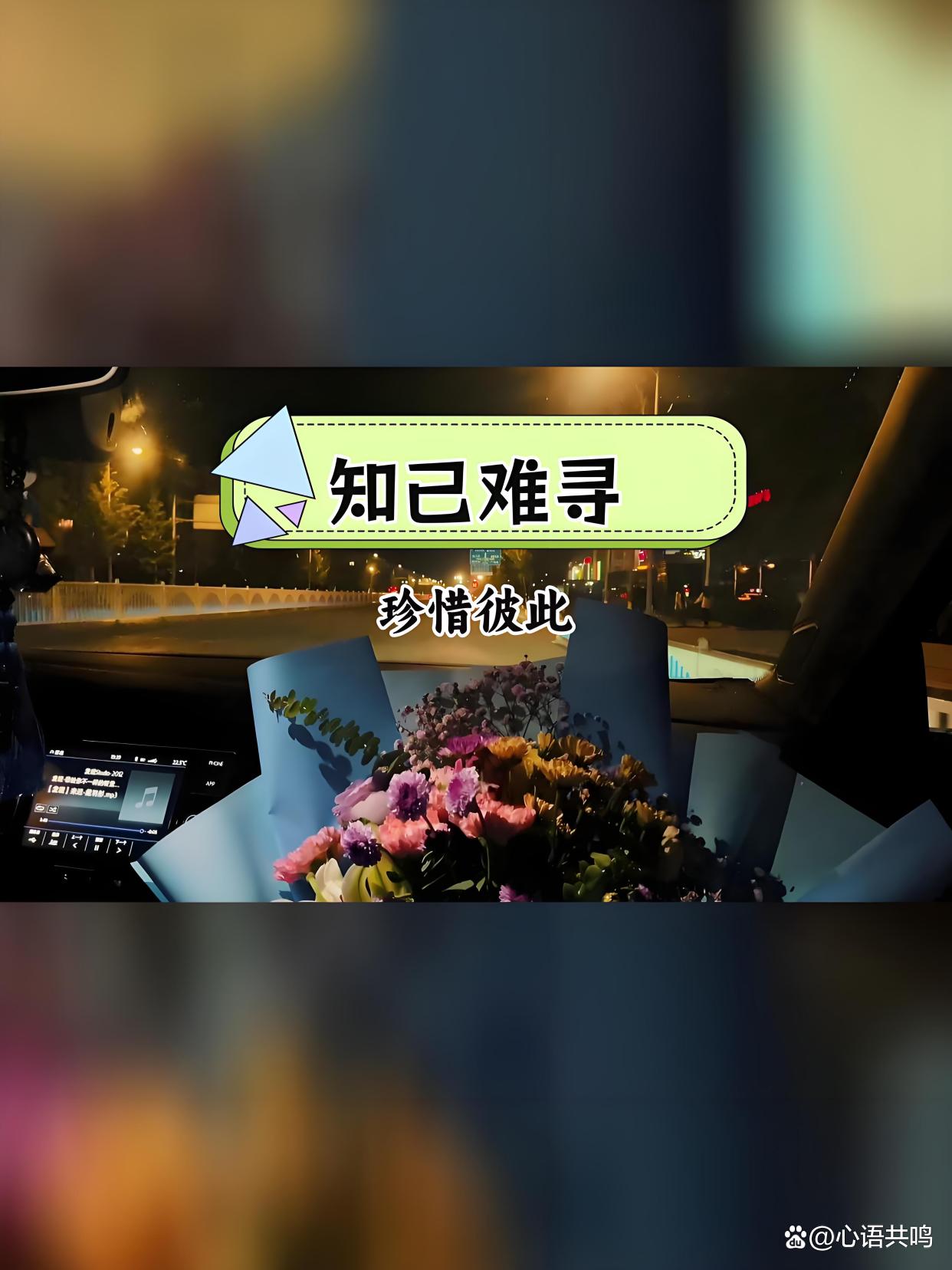 蓝颜知己是什么意思