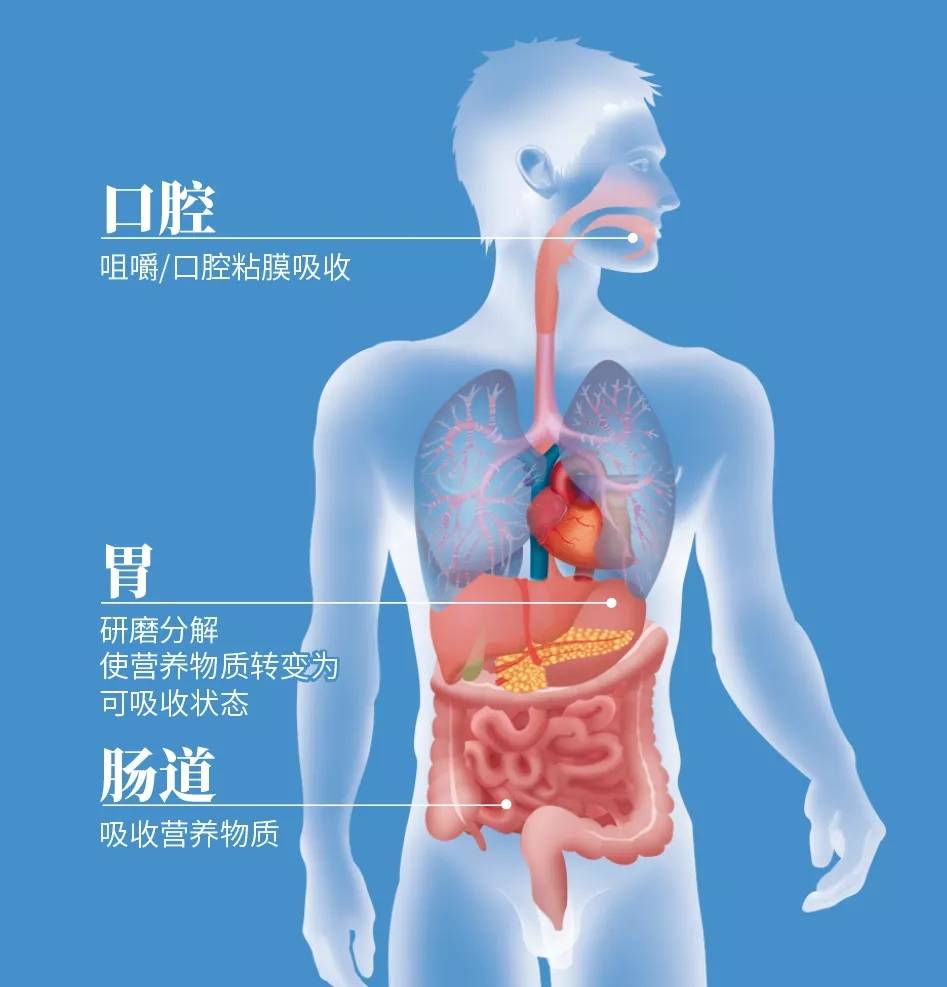 春芝堂食用菌骗局央视